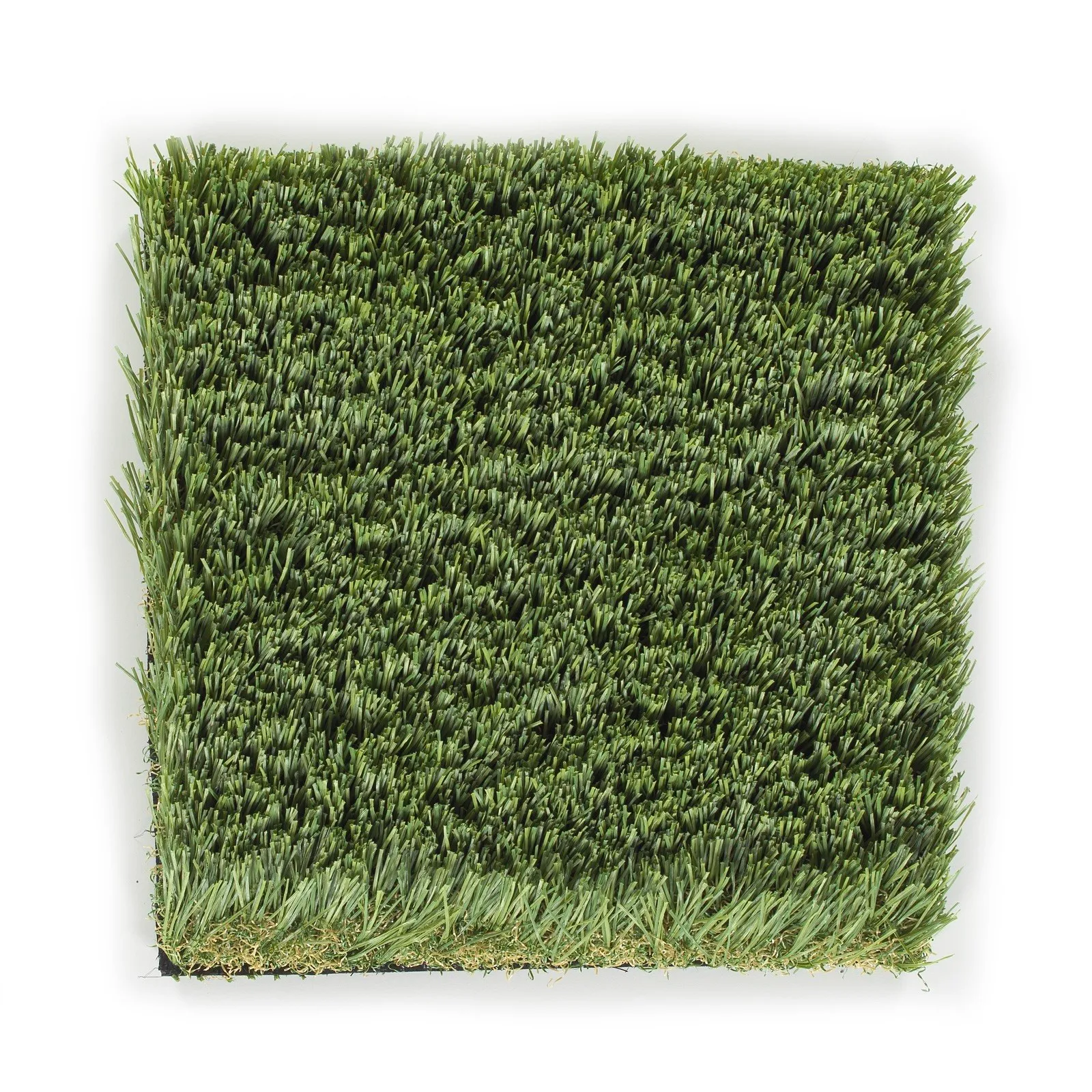 Newport-Platinum Newport-Platinum