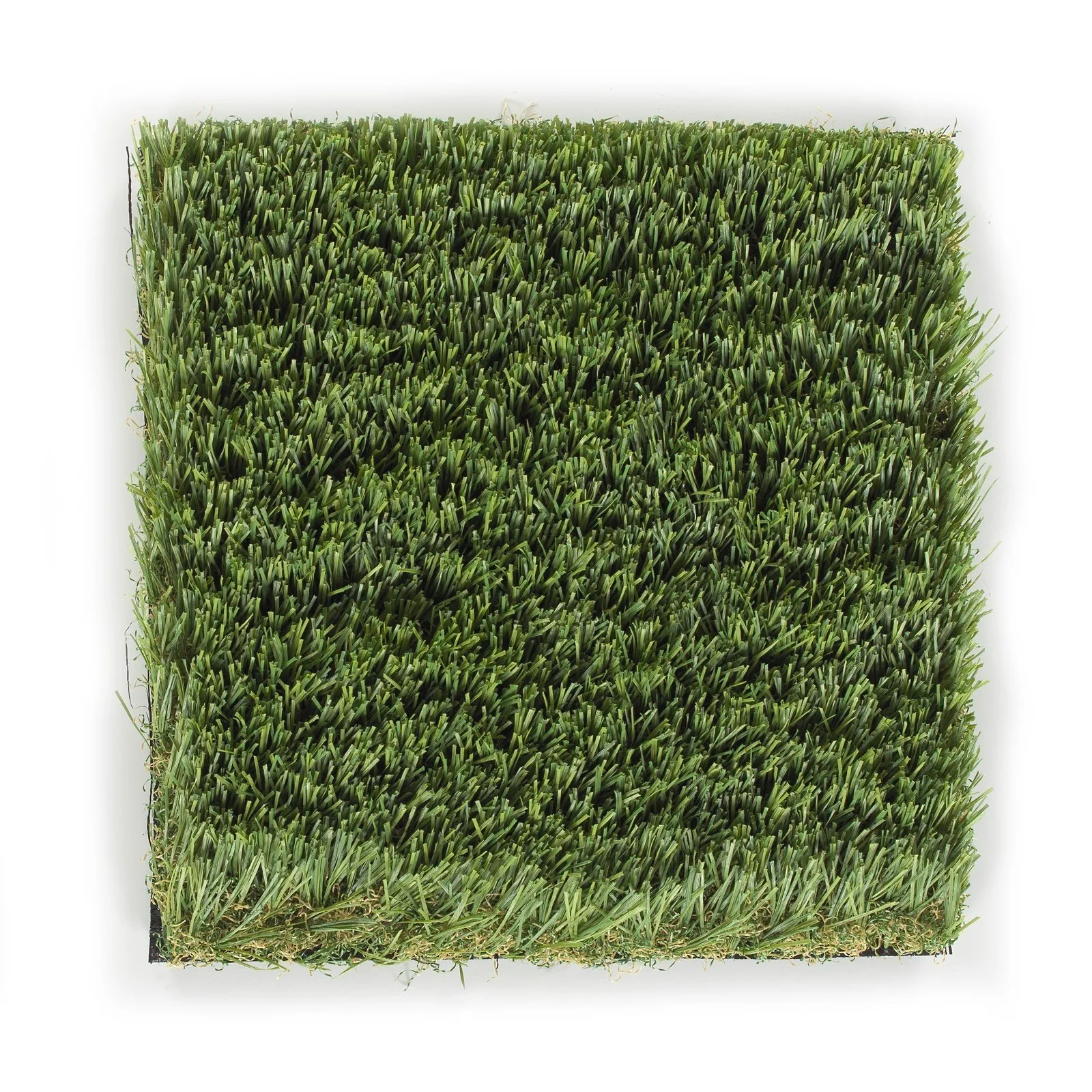 Newport-Premium Newport-Premium