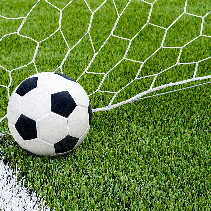 SoccerNet Soccer ball in net on turf grass.