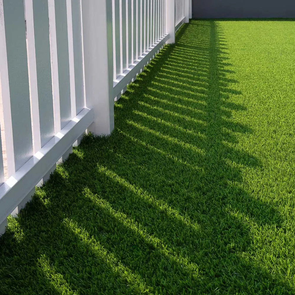 imgi_22_Untitled-design-2 imgi_22_Untitled-design-2