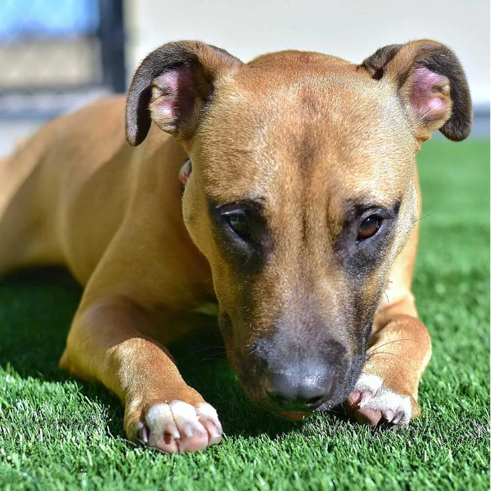 imgi_24_Untitled-design-7 imgi_24_Untitled-design-7