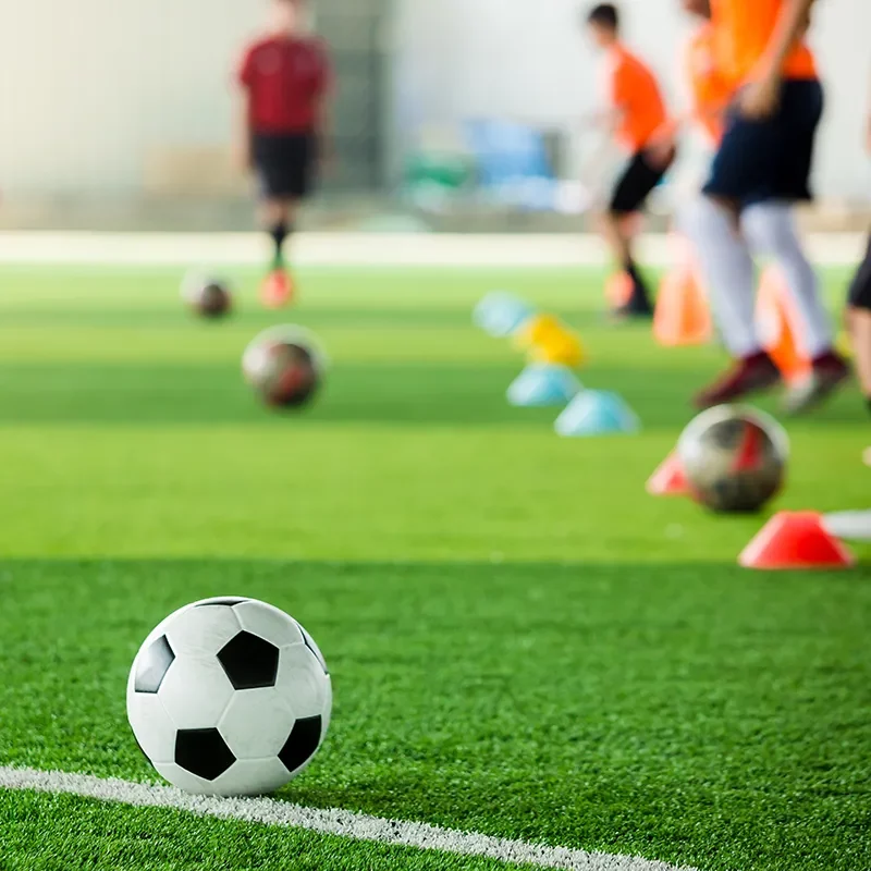 Soccer-Players Soccer practice on turf grass